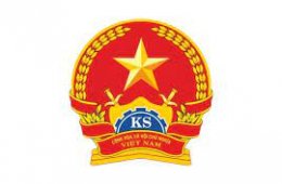 Viện kiểm sát trong Tố tụng dân sự